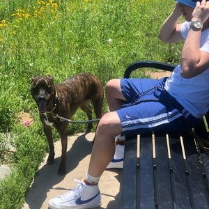 Meet your Posher, Davis